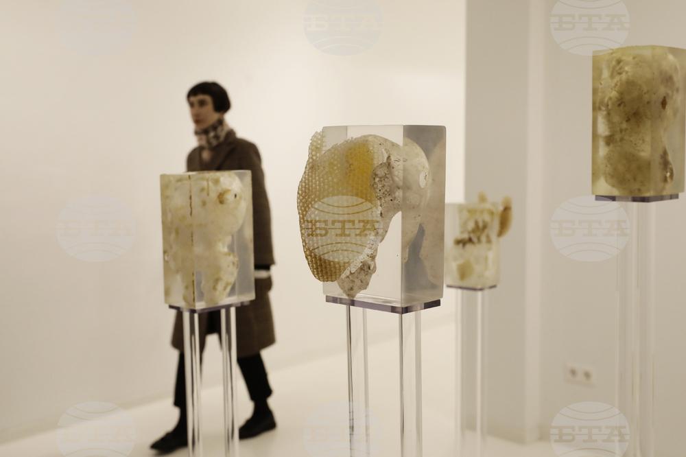 „Див градеж" -  изложба