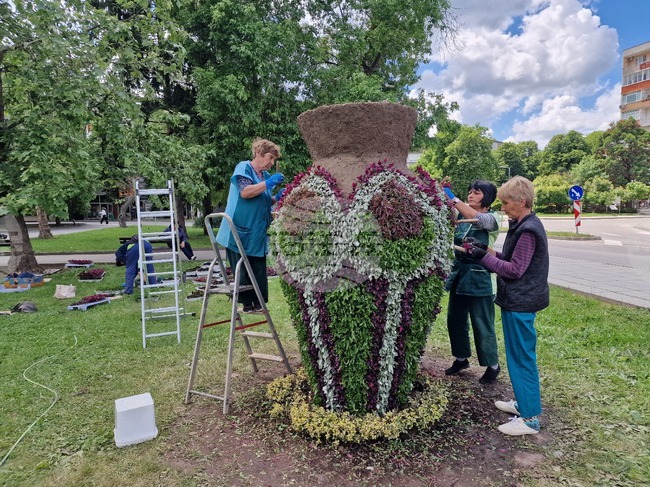 В Разград засаждат над 8000 нови растения в цветна фигура