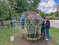 Разград - цветя - фигура