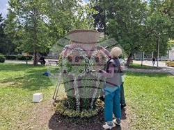 Разград - цветя - фигура