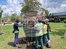 Разград - цветя - фигура