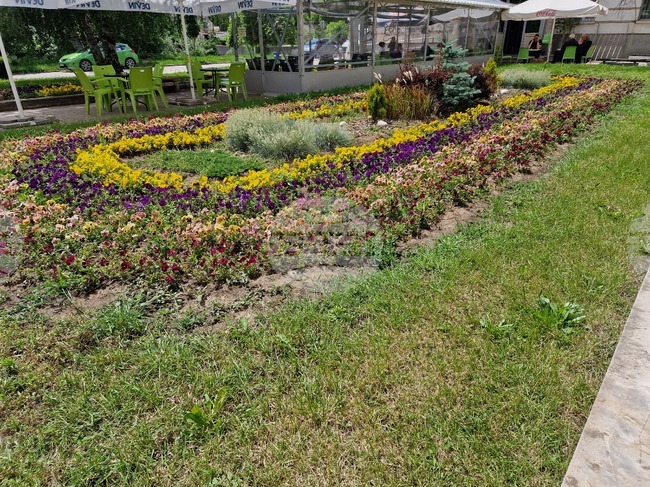 Общо 70 000 растения ще бъдат засадени в различни райони в Разград