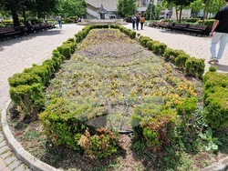 Разград - цветя - фигура