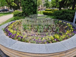 Разград - цветя - фигура