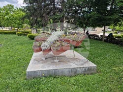 Разград - цветя - фигура