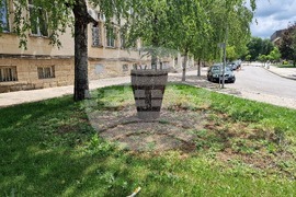 Разград - цветя - фигура