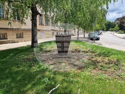 Разград - цветя - фигура