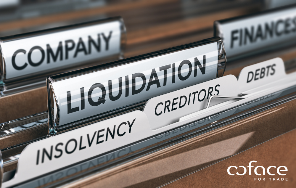 Броят на компаниите в несъстоятелност у нас намалява за втора поредна година, според доклад на "Кофас"