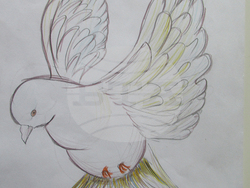 Изложба с детски рисунки ще бъде открита на 1 юни в парка „Заимов“ в София. Снимка: Екипът на събитието