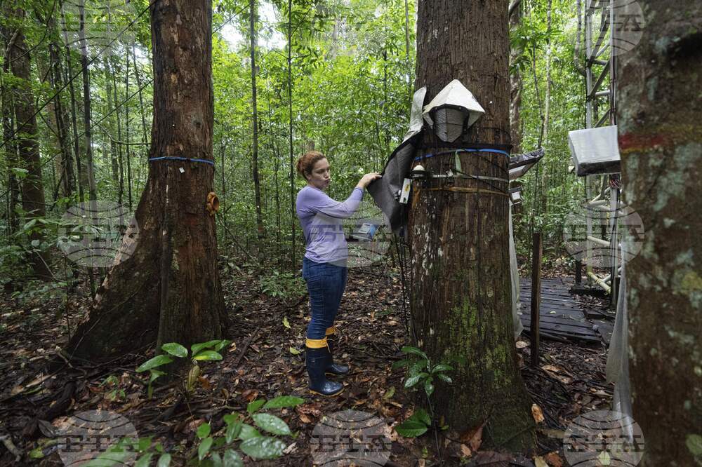 Climate Amazon Research Center