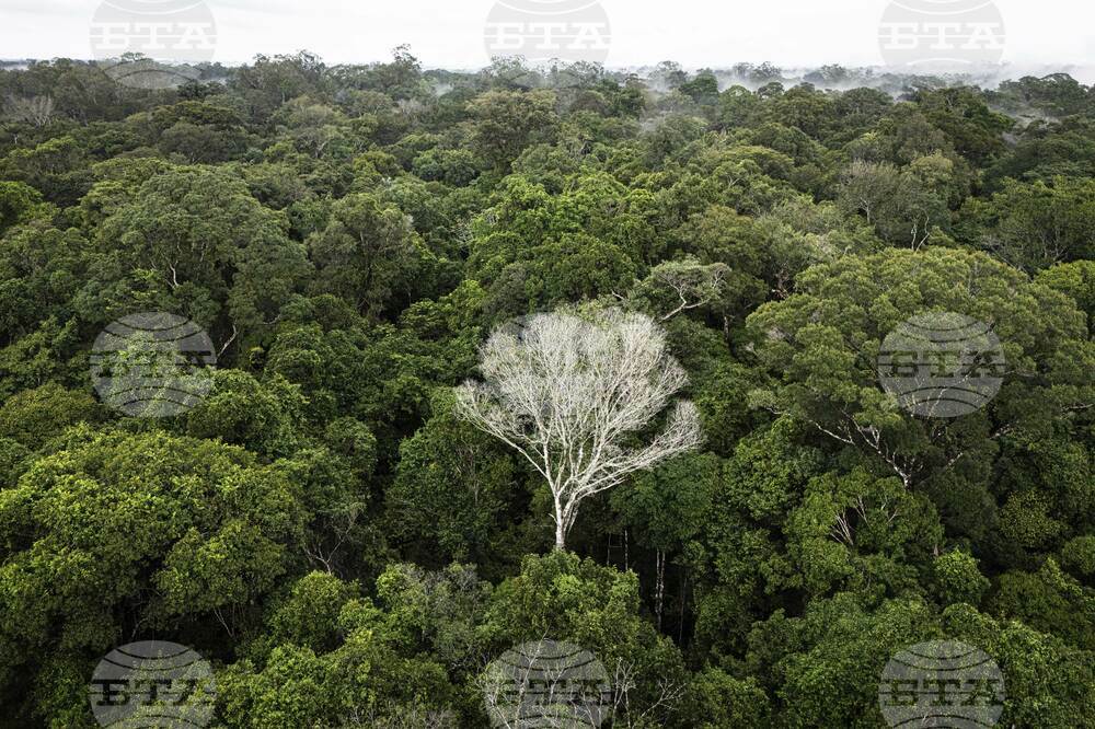 APTOPIX Climate Amazon Research Center