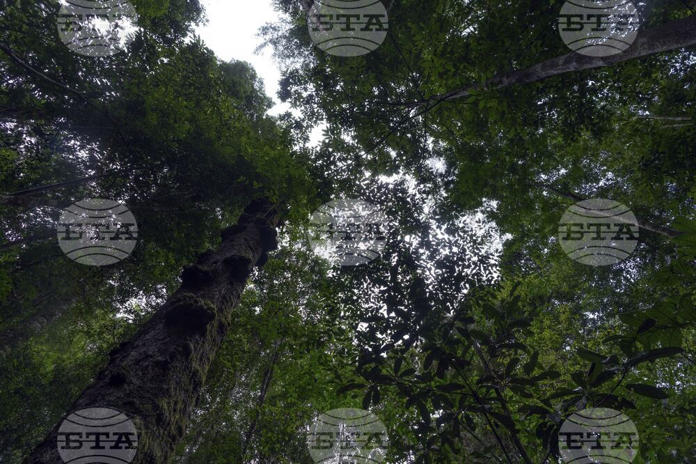 Climate Amazon Research Center
