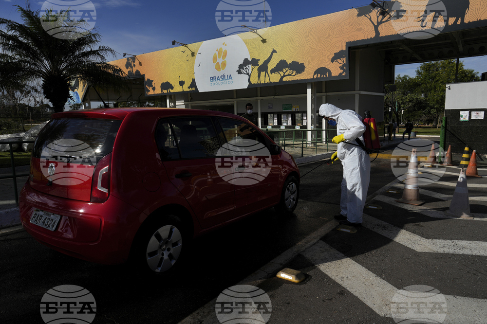 Brazil Bird Flu