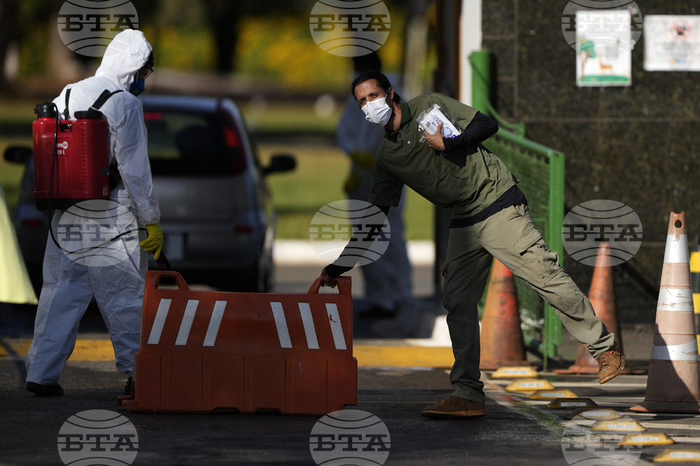 Brazil Bird Flu