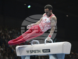 Germany Gymnastics European Championships