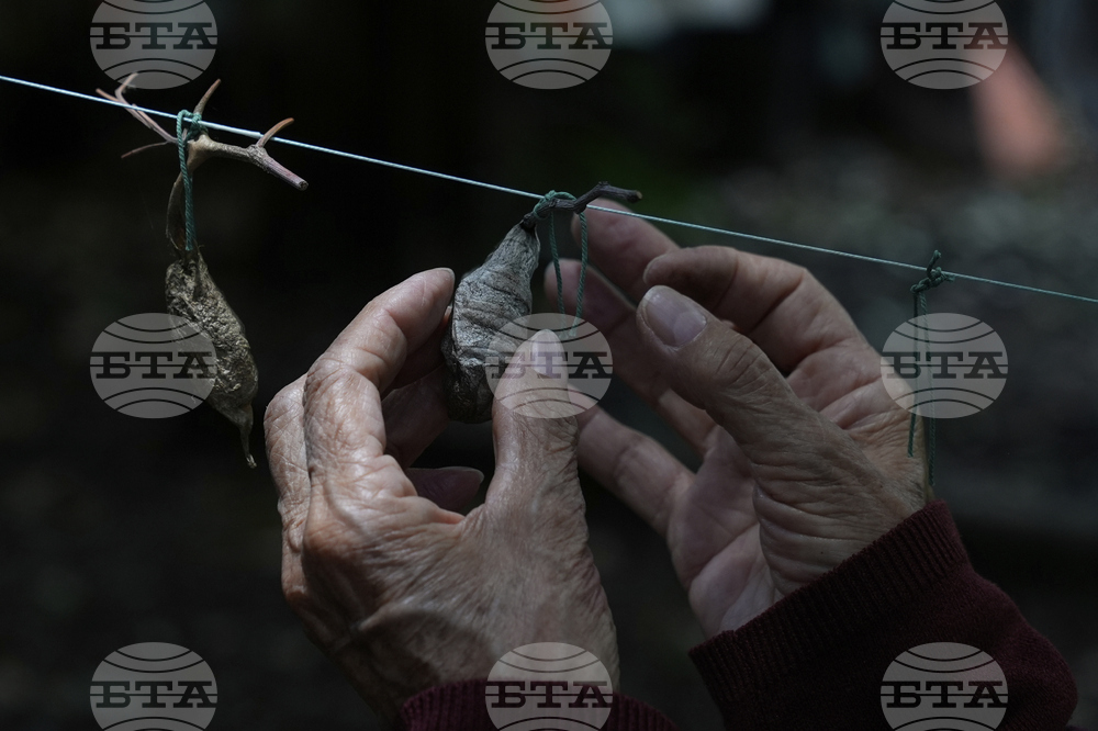 Mexico Butterfly Rescue