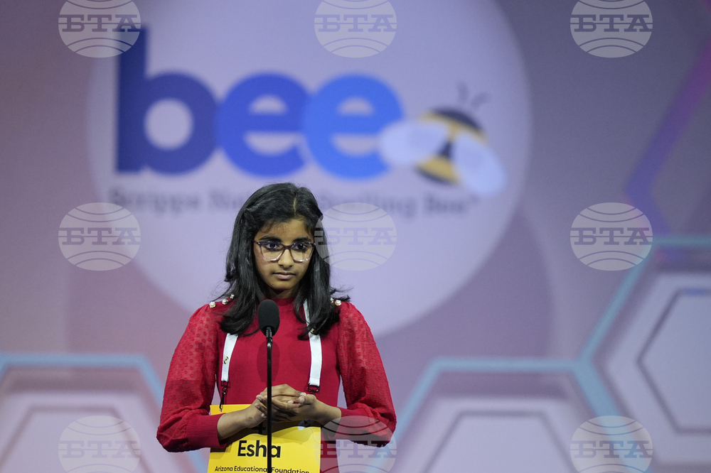 Spelling Bee