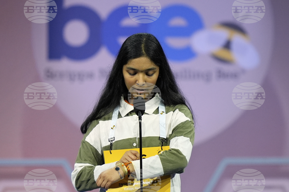Spelling Bee