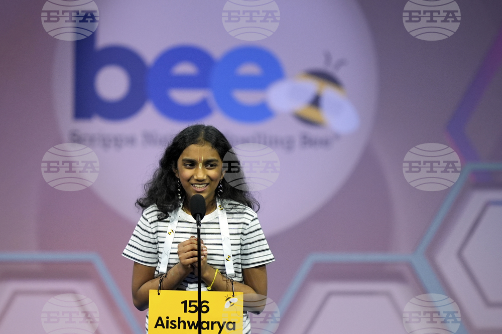 Spelling Bee