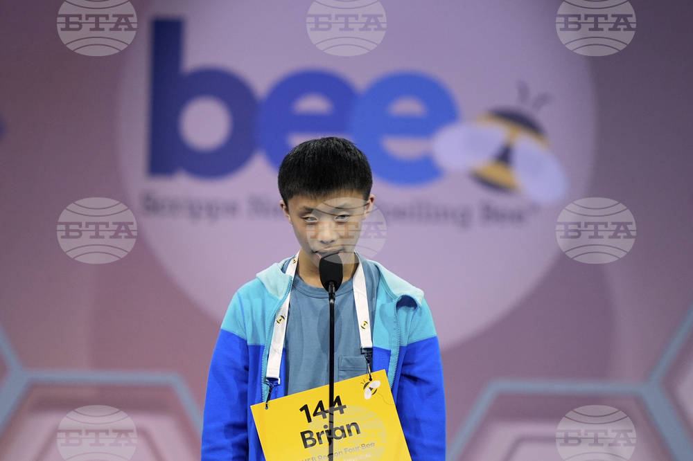 Spelling Bee