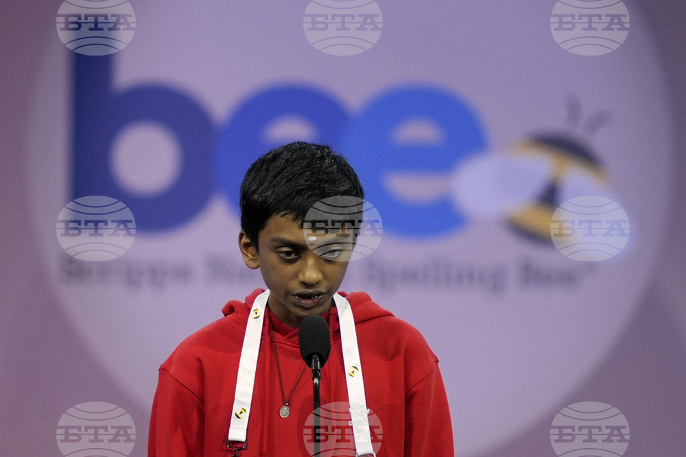 Spelling Bee