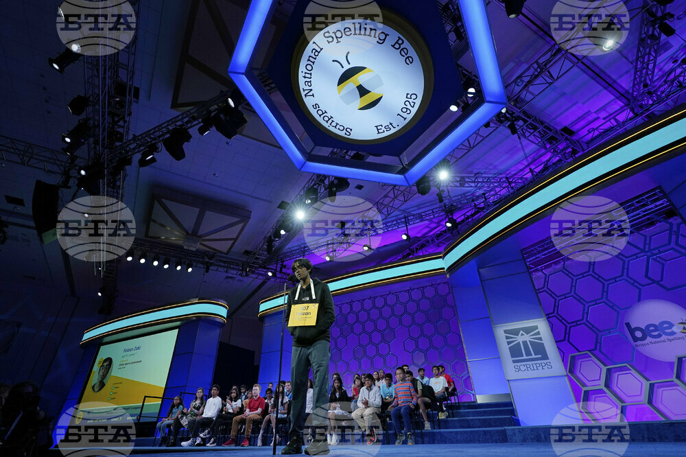 Spelling Bee