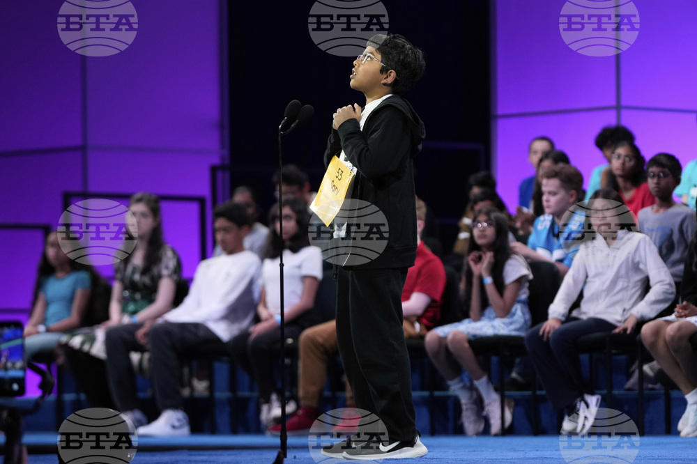Spelling Bee