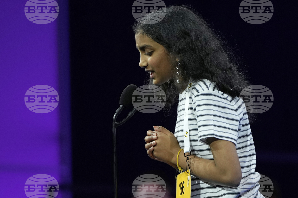 Spelling Bee