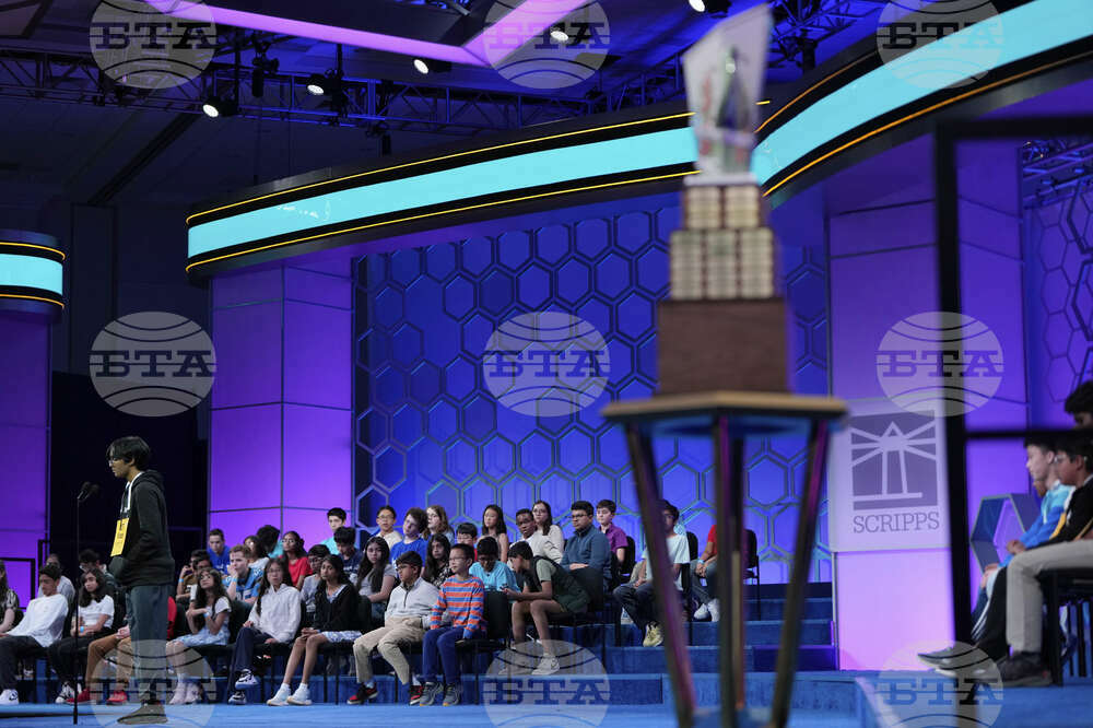 Spelling Bee