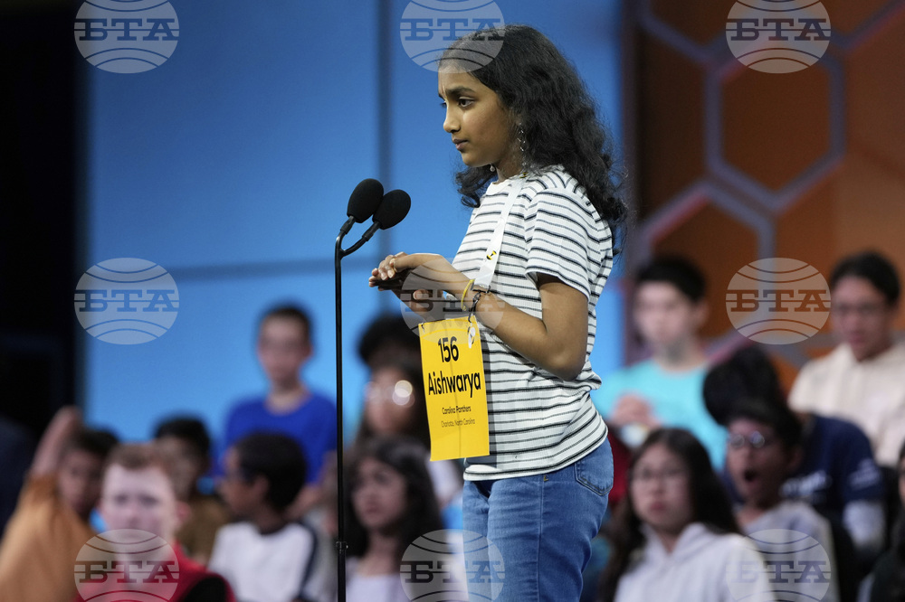 Spelling Bee