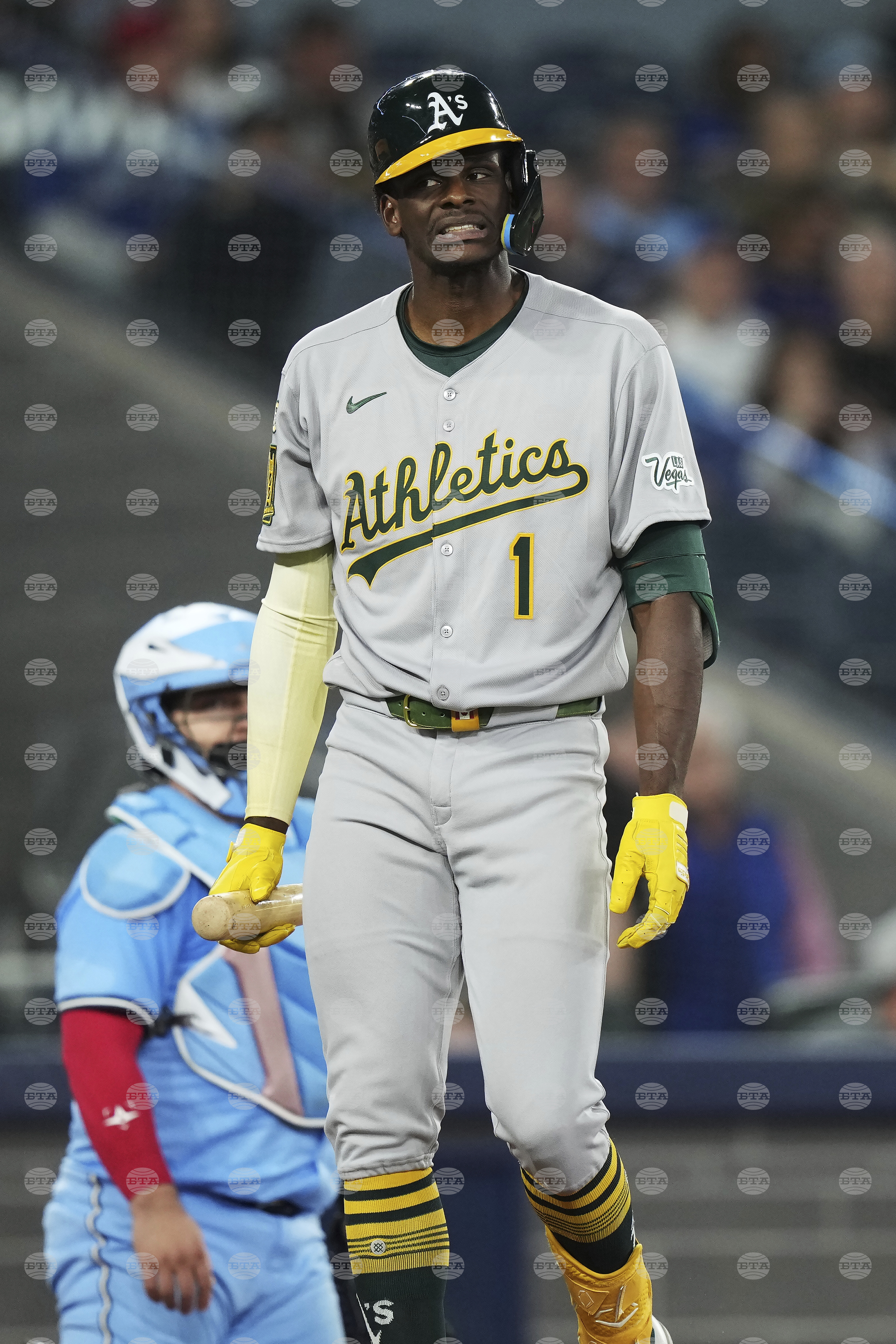 Athletics Blue Jays Baseball