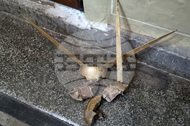 Търговище - храм „Св. Успение Богородично“ - авариен ремонт