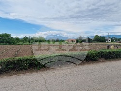 Садово - Ден на фермера