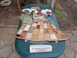 Садово - Ден на фермера