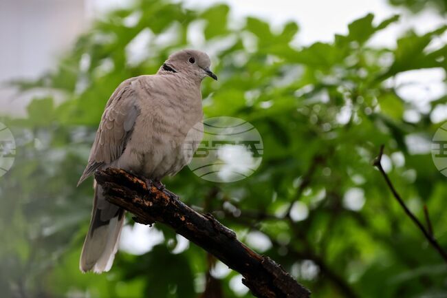 The Weather on September 27-28