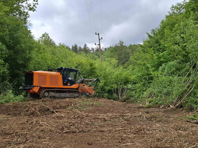 ЕРП Север предприема мащабна превантивна кампания за предотвратяване на аварии