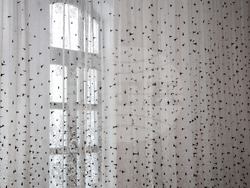 Варна - Градска художествена галерия - изложба