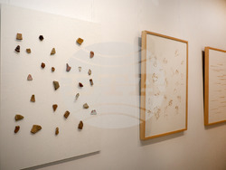 Варна - Градска художествена галерия - изложба