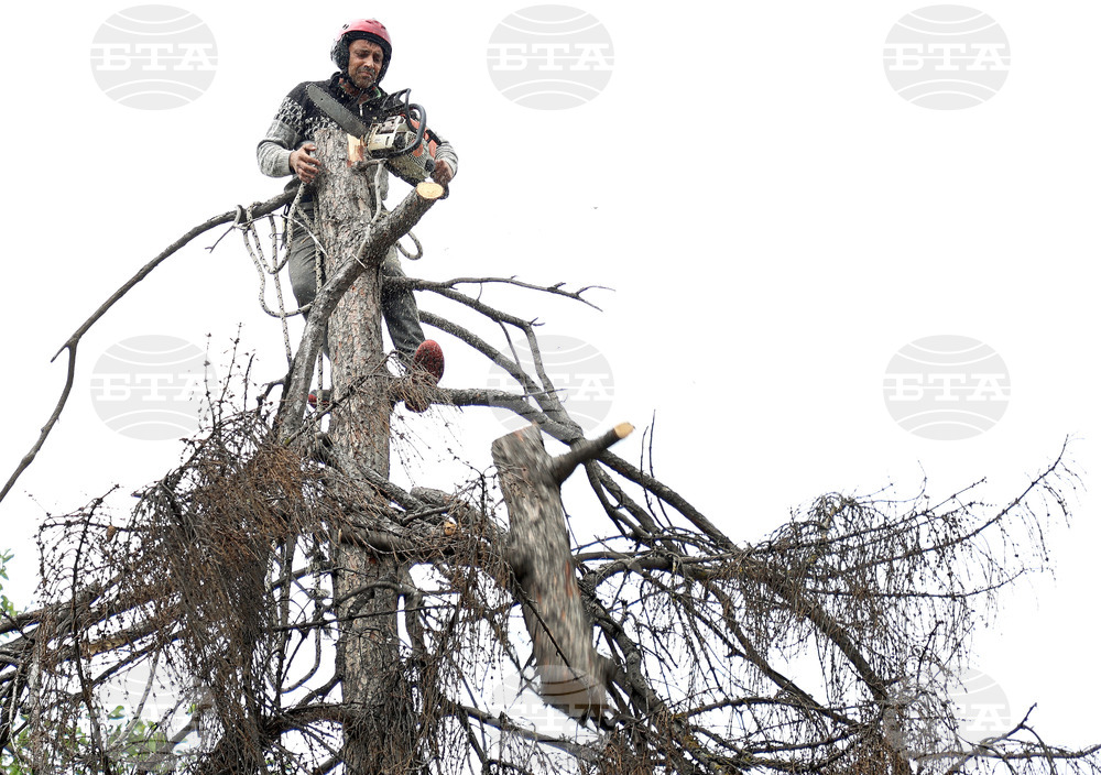 През първото тримесечие БВП на един зает се увеличава реално с 1,5 на сто на годишна база, отчита НСИ