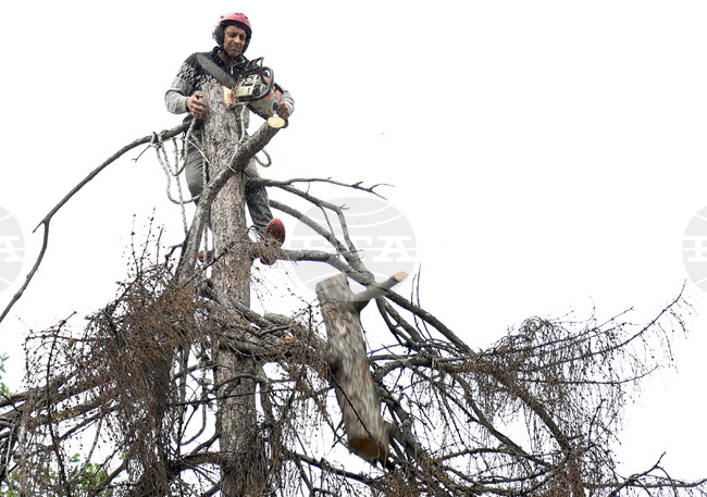 През първото тримесечие БВП на един зает се увеличава реално с 1,5 на сто на годишна база, отчита НСИ