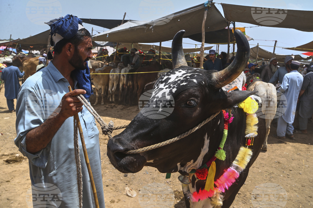 Pakistan Eid al-Adha