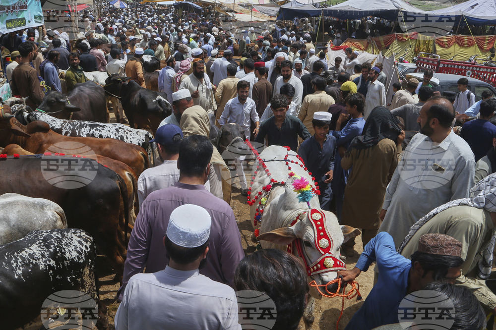 Pakistan Eid al-Adha