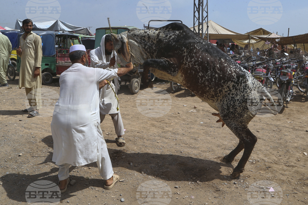 Pakistan Eid al-Adha