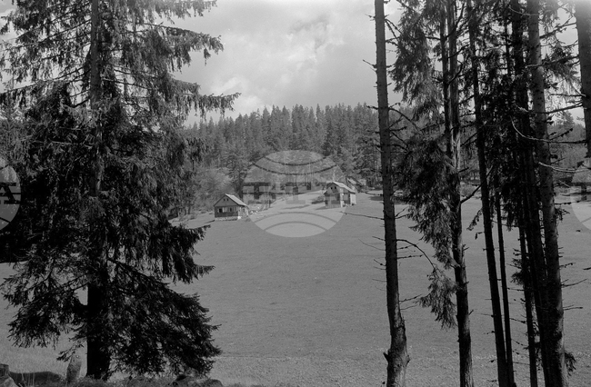 Планинският курорт „Юндола" край Велинград през 1954 година