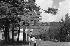 Планинският курорт „Юндола" край Велинград през 1954 година