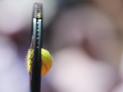 APTOPIX French Open Tennis
