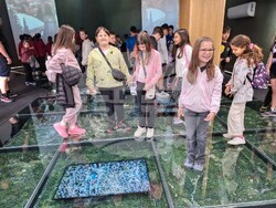 Снимка: Община Банско