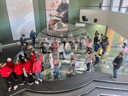 Снимка: Община Банско