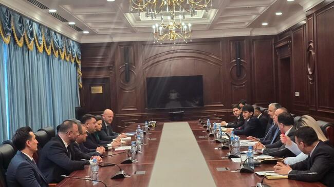 Bulgaria's Deputy PM, Regional Development Minister Hold Meetings on Day Three of Tajikistan Visit