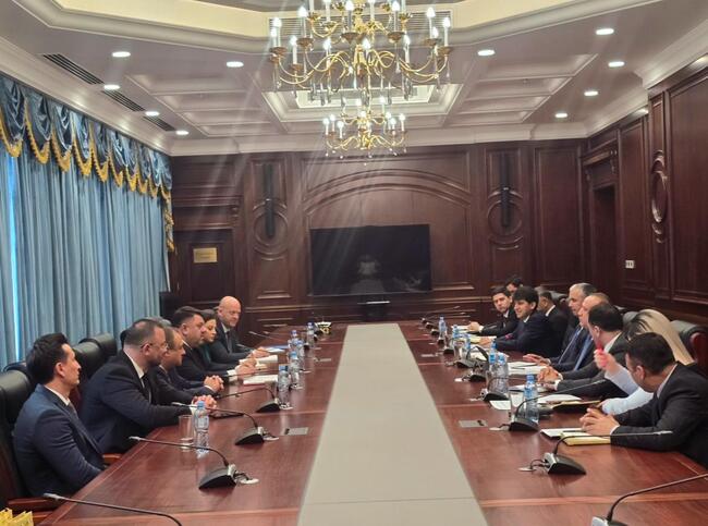 Bulgaria's Deputy PM, Regional Development Minister Hold Meetings on Day Three of Tajikistan Visit